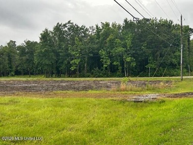 Build your dream home on this beautiful 70' x 100' cleared lot - photo 10