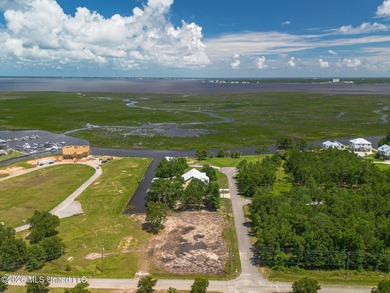 Build your dream home on this beautiful 80' x 155' cleared lot - photo 5
