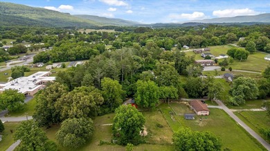 Charming 1918 home situated on a spacious 1.2 acre lot - photo 23