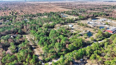 This stunning property offers a perfect blend of privacy and - photo 23