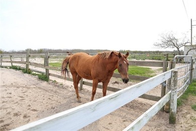 87.26 acres available in Flour Bluff, offering an exceptional - photo 7