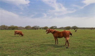87.26 acres available in Flour Bluff, offering an exceptional - photo 9