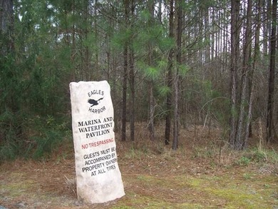 This beautiful Gated 1.79-acre lot in Eagles Harbor offers an - photo 9