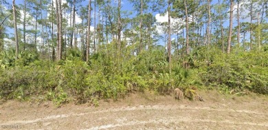 Lehigh Acres Area Lot For Sale in Lehigh Acres Florida