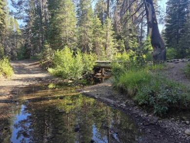 Lake Acreage Sale Pending in Donner Lake, California