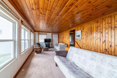 Cottage on Snow Lake SOLD - photo 8
