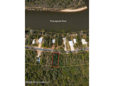 Own a Piece of Mississippi's River Country! Nestled near the - photo 1