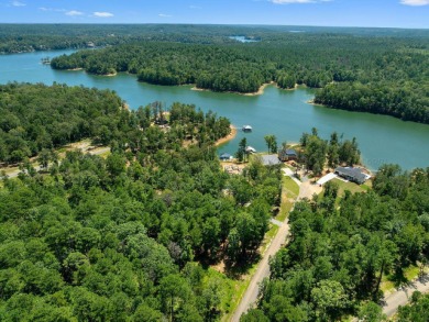 Slick Ford is one of the newest developments on Smith Lake - photo 4