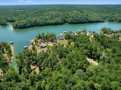 Slick Ford is one of the newest developments on Smith Lake - photo 5