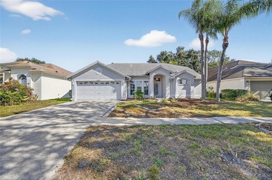 Lake Home For Sale in Tampa, Florida