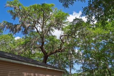 Charming island home w/ stunning marsh views! Nestled among the - photo 40
