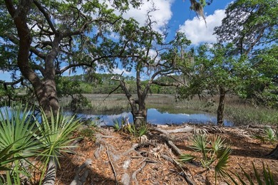 Charming island home w/ stunning marsh views! Nestled among the - photo 42