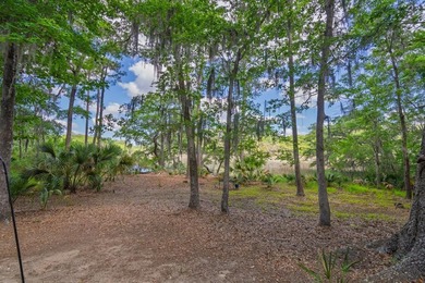 Charming island home w/ stunning marsh views! Nestled among the - photo 43
