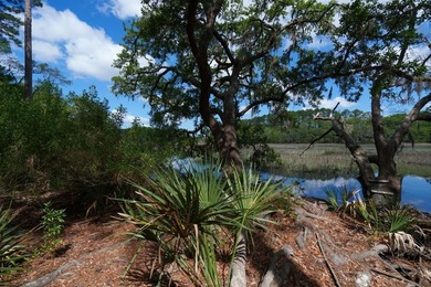 Charming island home w/ stunning marsh views! Nestled among the - photo 45