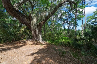 Charming island home w/ stunning marsh views! Nestled among the - photo 47