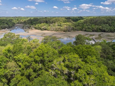 Charming island home w/ stunning marsh views! Nestled among the - photo 49