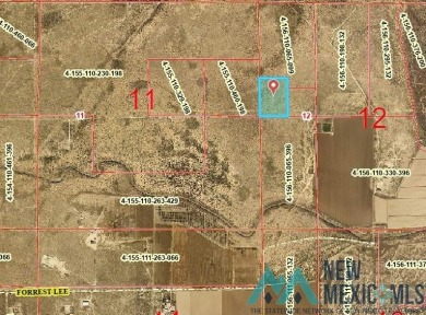Pecos River Acreage For Sale in Artesia New Mexico