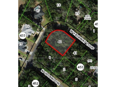 Buildable Corner Lot in Citrus Springs presenting an excellent - photo 1