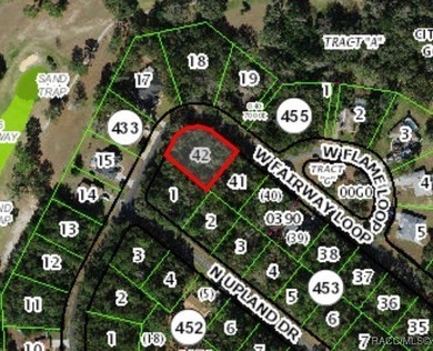Buildable Corner Lot in Citrus Springs presenting an excellent - photo 2