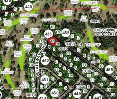 Buildable Corner Lot in Citrus Springs presenting an excellent - photo 3