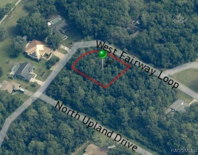 Buildable Corner Lot in Citrus Springs presenting an excellent - photo 4