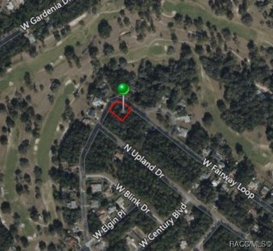 Buildable Corner Lot in Citrus Springs presenting an excellent - photo 5