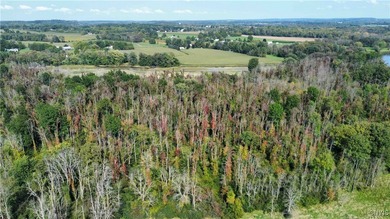 Hickory Island is a private island consisting of 53 acres - photo 8