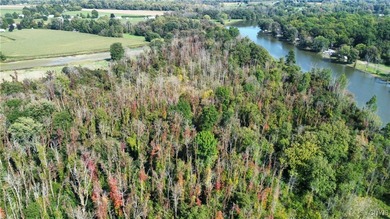 Hickory Island is a private island consisting of 53 acres - photo 10