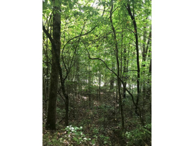 Lake Nantahala Lot For Sale in Topton North Carolina