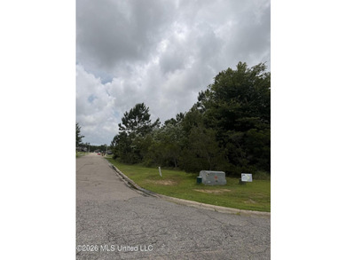 A spacious 0.83 acres residential homesite nestled within a well - photo 5