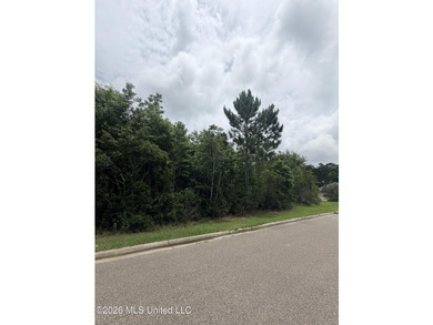 A spacious 0.83 acres residential homesite nestled within a well - photo 6