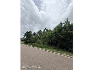A spacious 0.83 acres residential homesite nestled within a well - photo 7