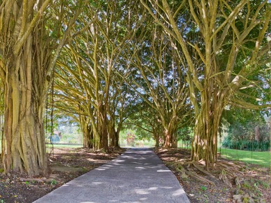 This exceptional estate stands as one of the crown jewels of - photo 28