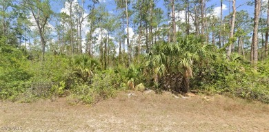 Lehigh Acres Area Lot For Sale in Lehigh Acres Florida