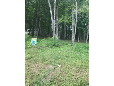 Beautiful mountain lot  in Vista at Nantahala Subdivision - Lake Lot For Sale in Topton, North Carolina