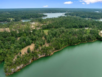 Slick Ford is one of the newest developments on Smith Lake - photo 3