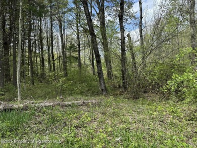 Lake Acreage For Sale in Lake Ariel, Pennsylvania
