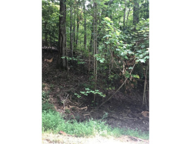 Lake Nantahala Lot For Sale in Topton North Carolina