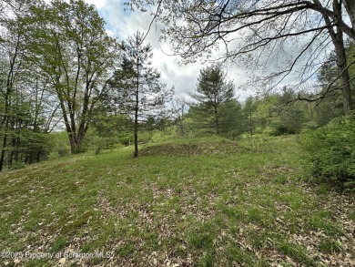 Lake Lot For Sale in Damascus, Pennsylvania