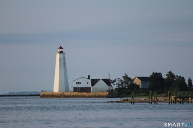 Welcome to one of Old Saybrook's most compelling brand-new - photo 31