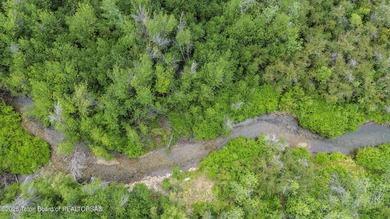 (private lake, pond, creek) Acreage For Sale in Victor Idaho