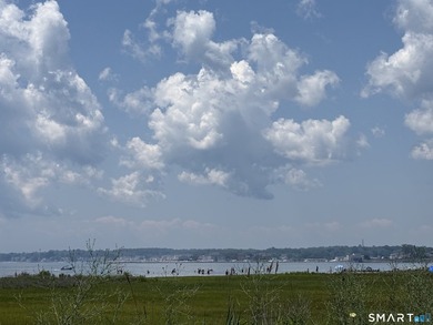Welcome to one of Old Saybrook's most compelling brand-new - photo 35