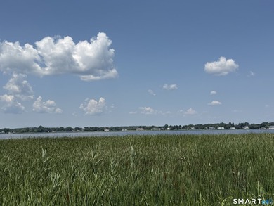 Welcome to one of Old Saybrook's most compelling brand-new - photo 36