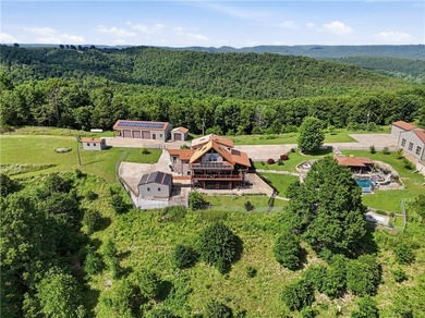 *Gated Mountaintop Luxury Compound on 37 acres - Three Homes - photo 7
