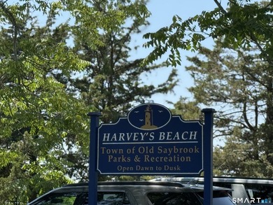 Welcome to one of Old Saybrook's most compelling brand-new - photo 37