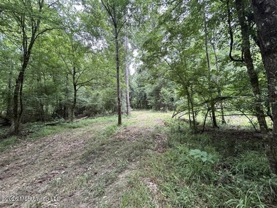 If you've been searching for a manageable hunting property with - photo 1