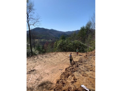 This just might be your spot!  House place cut in, gravel on - Lake Lot For Sale in Topton, North Carolina