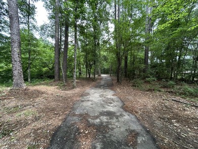 If you've been searching for a manageable hunting property with - photo 2