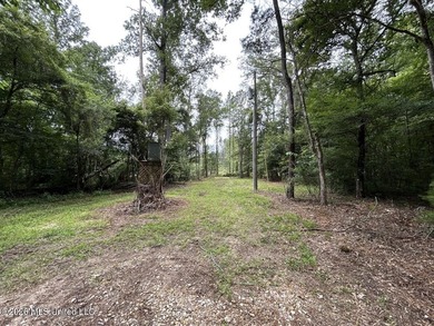 If you've been searching for a manageable hunting property with - photo 7