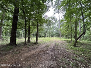 If you've been searching for a manageable hunting property with - photo 8